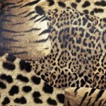 zoom-relief-vanity-leopard